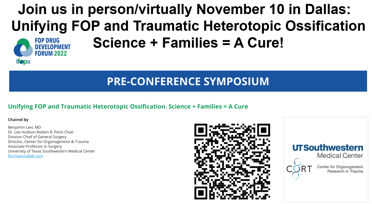 flier